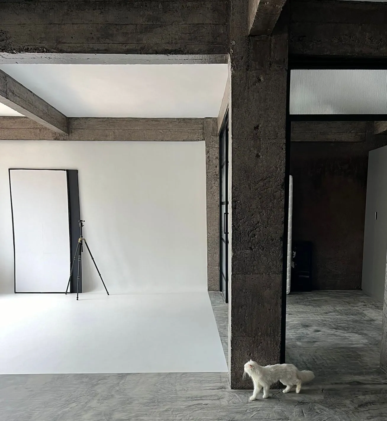 Kalambre Studio - Estudio creativo en Bilbao especializado en diseño, fotografía y producción audiovisual